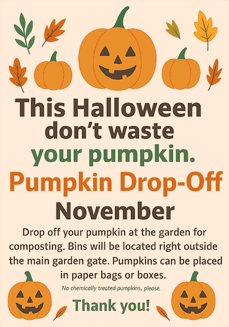 Recycle your pumpkins and gourds