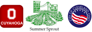 Summer Sprout